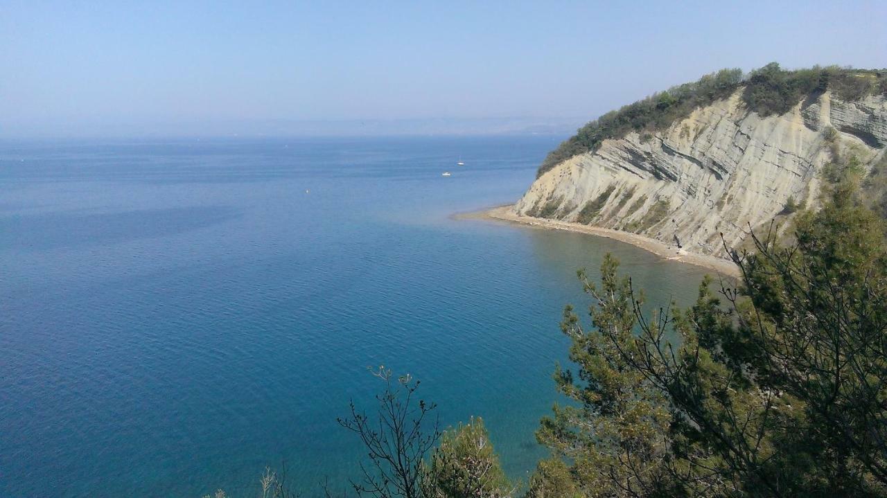 Apartma Vojkovo Koper Bagian luar foto